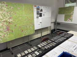 556959306 1342225637944674 4681143632618695592 N